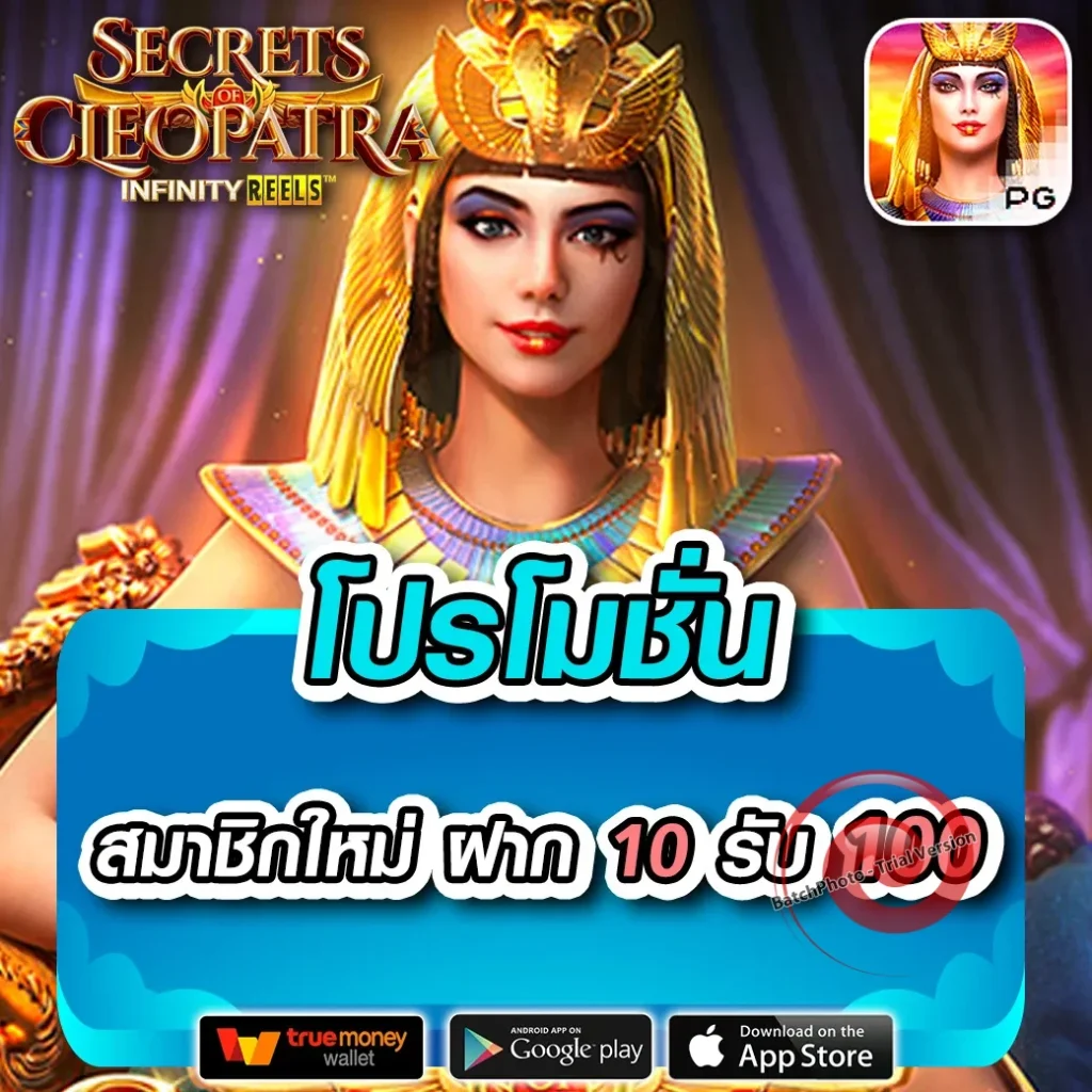 เว็บใหม่ 7 bet